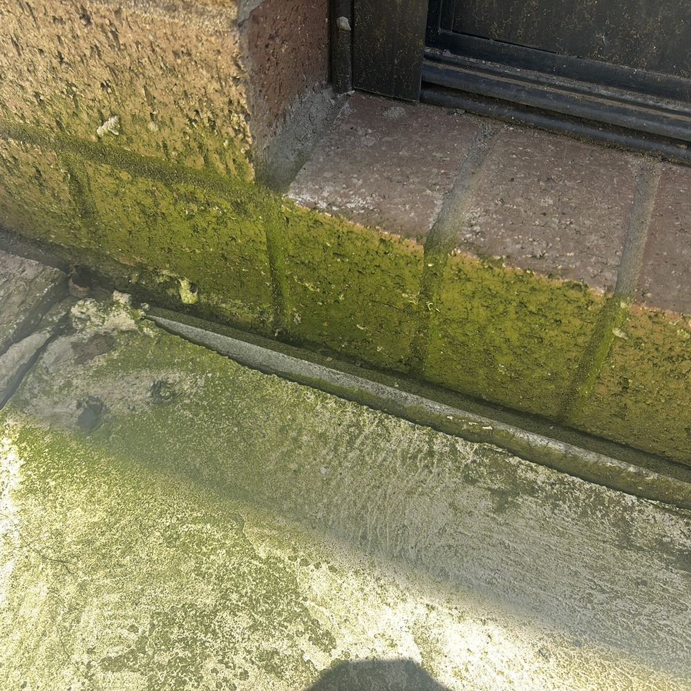 Mould Inspections in Kalkallo
