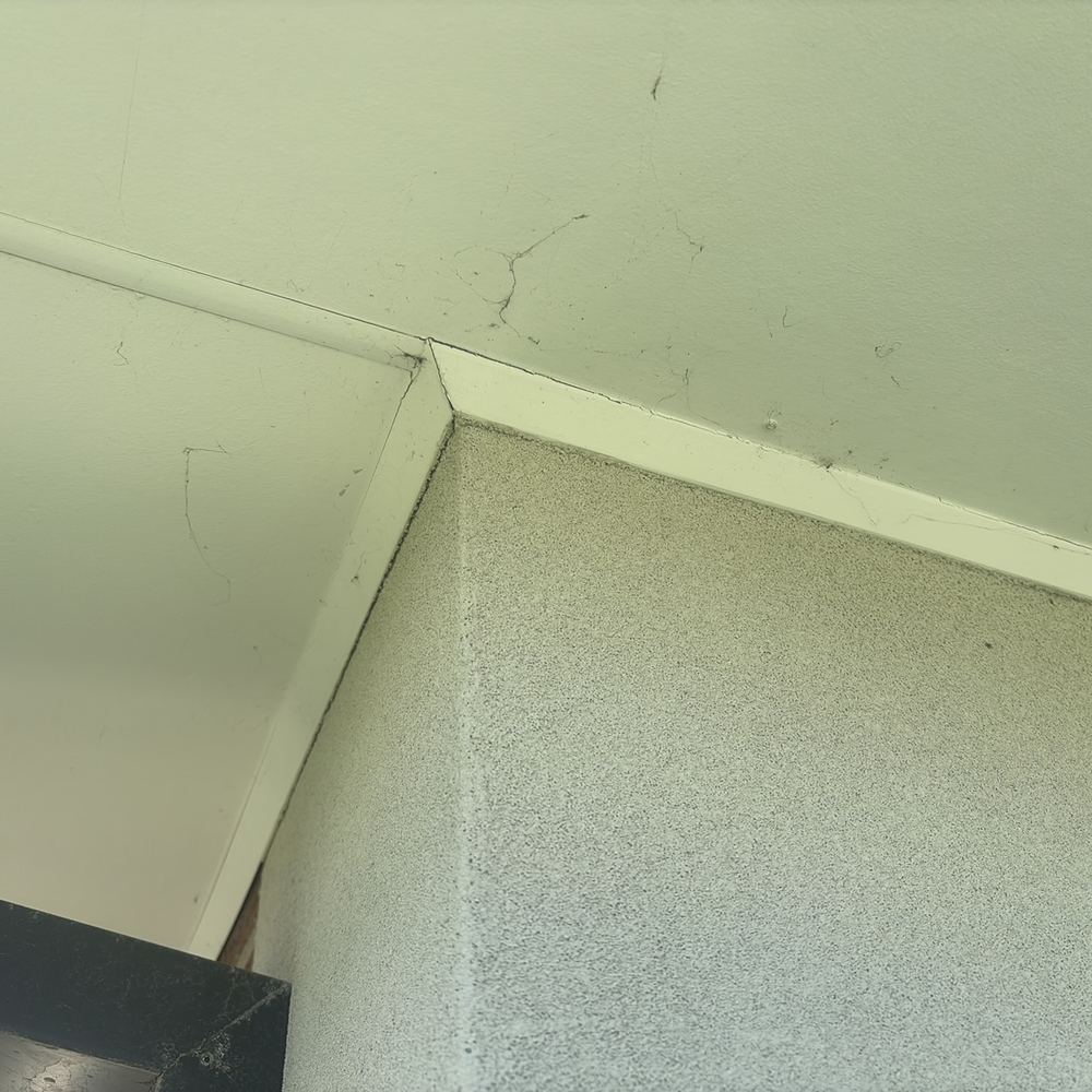 Weathered exterior paint that needs redoing to keep protecting the surface, found during a building and pest inspection in Kalkallo