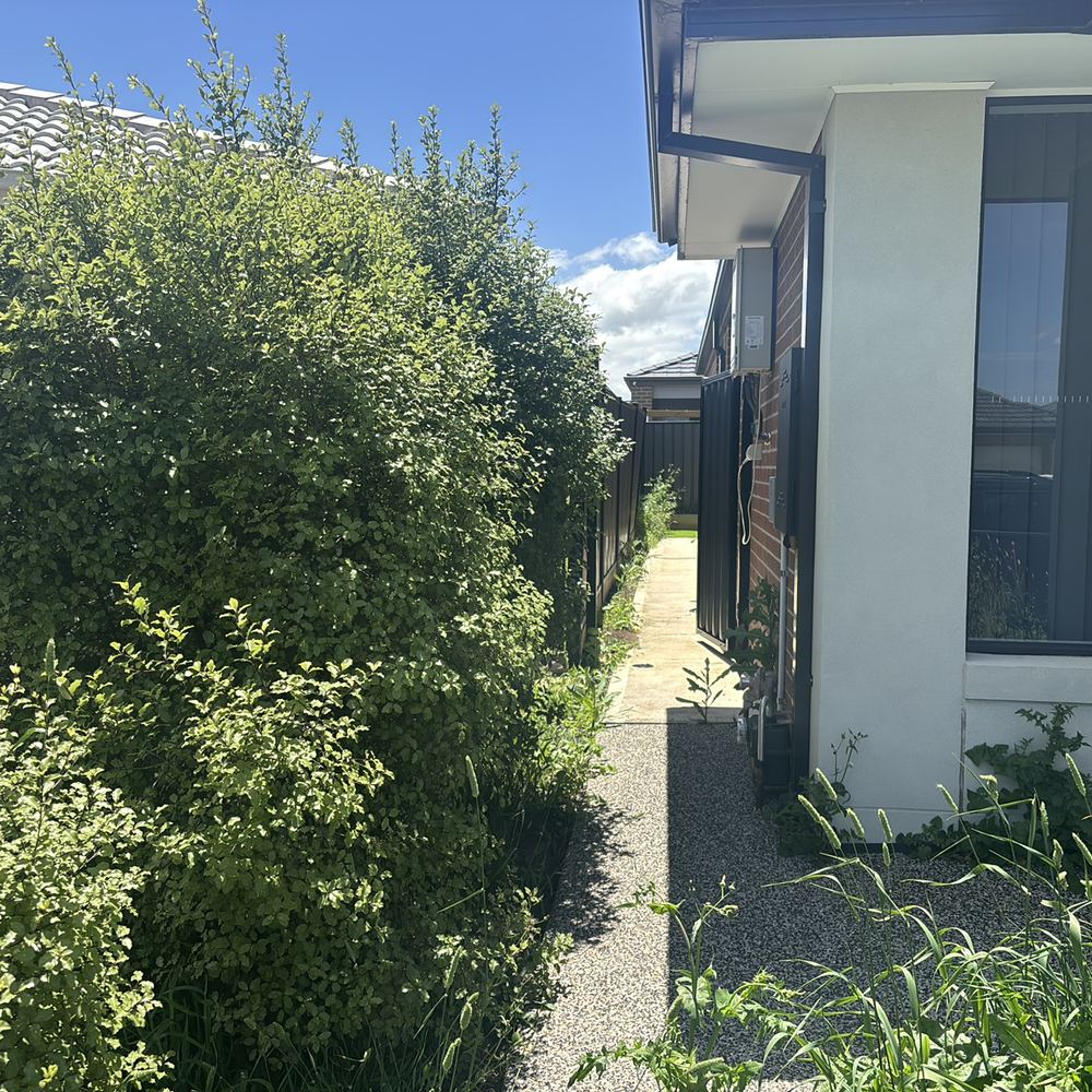 Building and Pest Inspections in Kalkallo