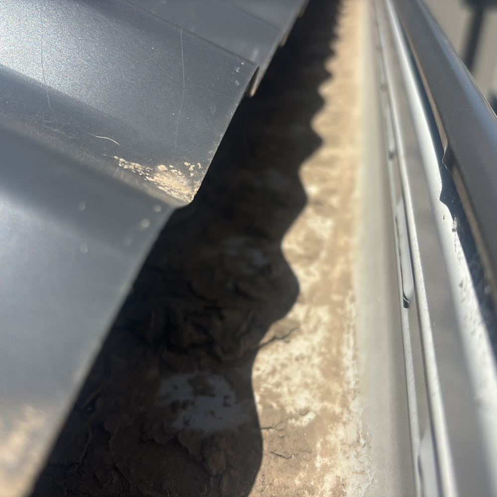 Debris sitting in the roof valley, slowing water flow and ageing the roofing, found during a pre-purchase inspection in Kalkallo